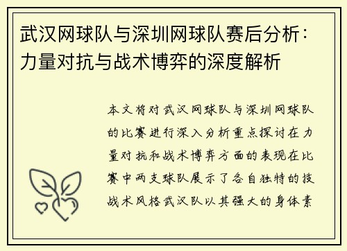 武汉网球队与深圳网球队赛后分析：力量对抗与战术博弈的深度解析